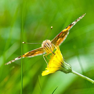 20090516--Bearbeitet-3