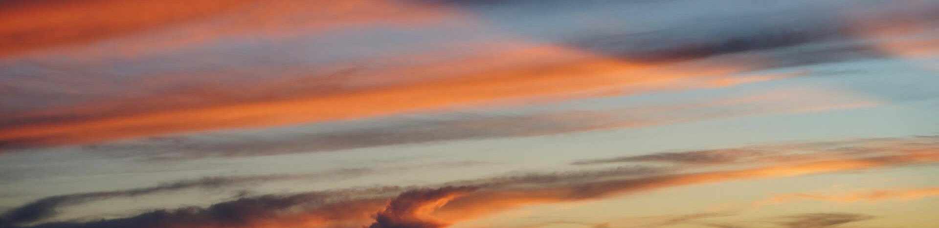 DSC06297.jpg DSC06297.jpg