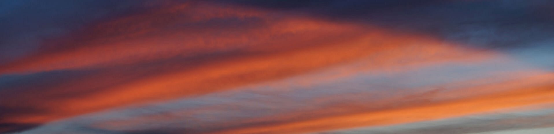 DSC06299.jpg DSC06299.jpg