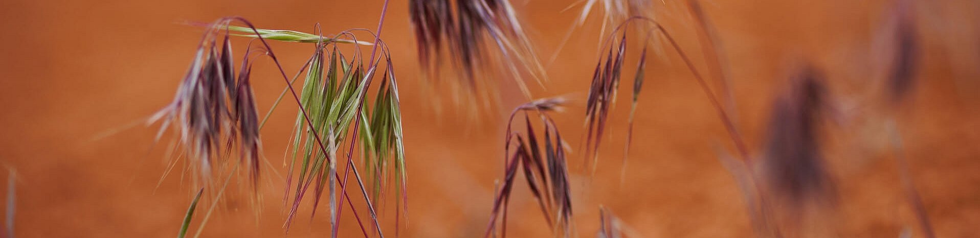 DSC05804.jpg DSC05804.jpg