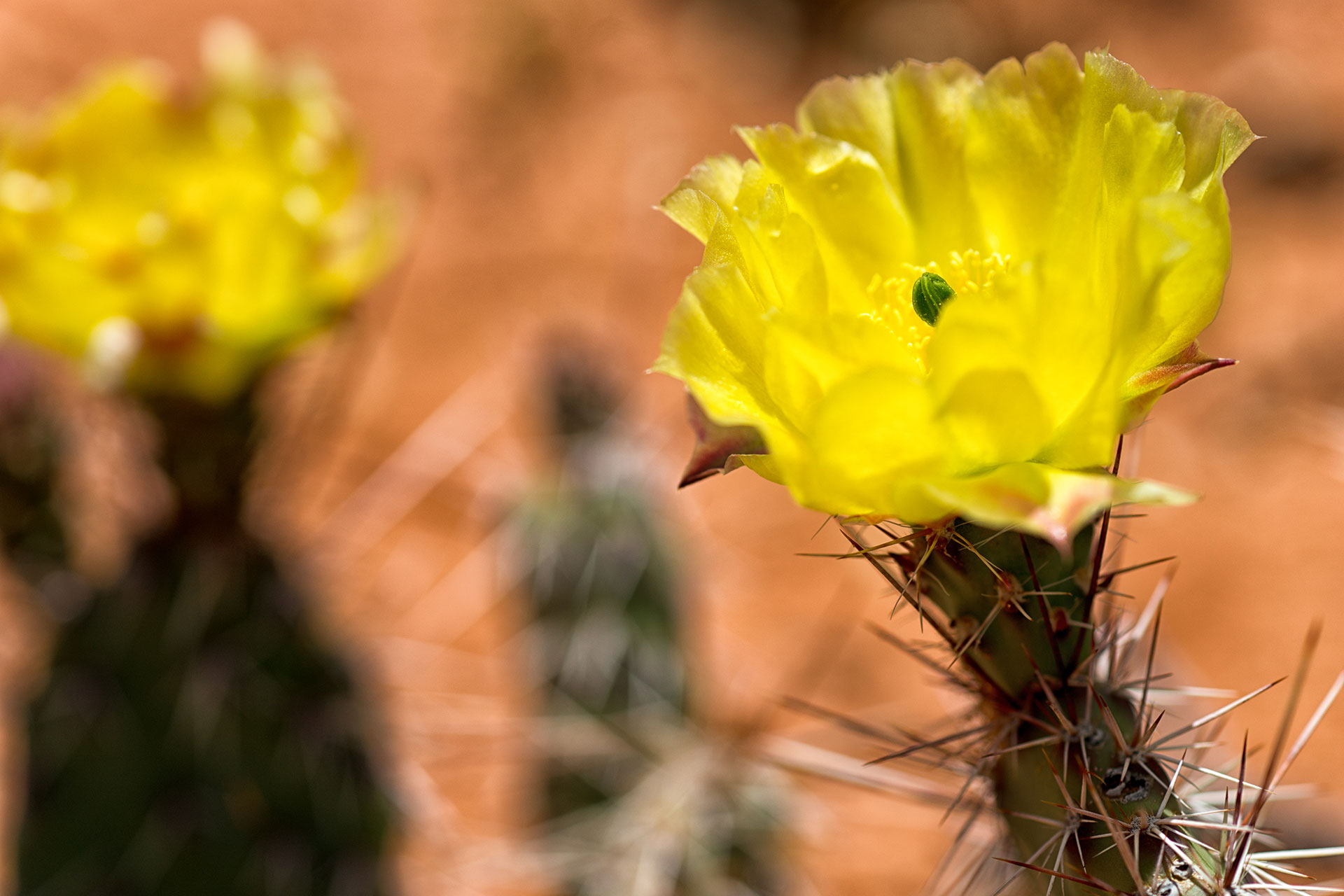 20160518-DSC06613-Bearbeitet