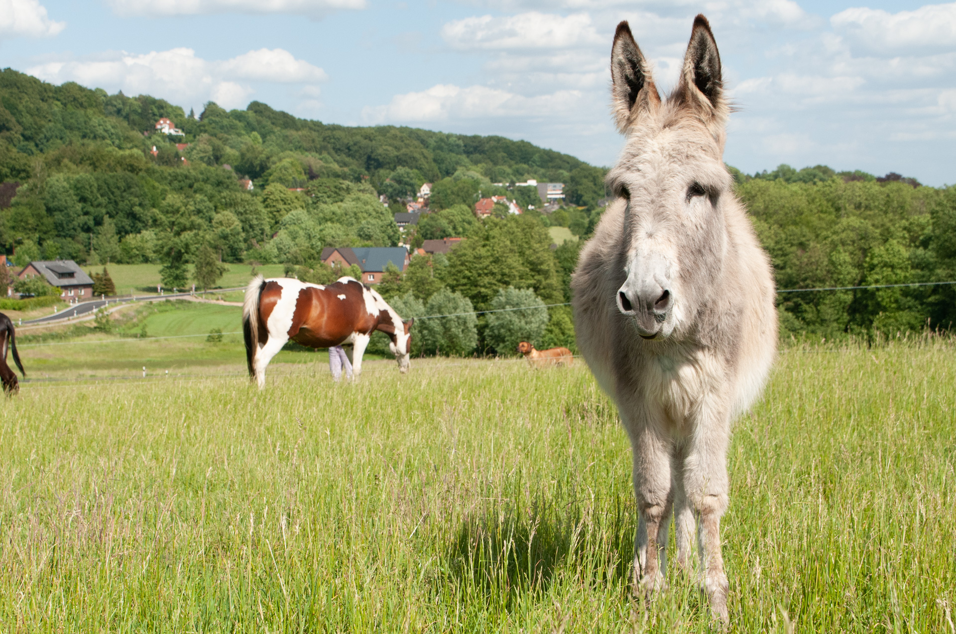 - in dem Alter nannten wir sie noch Pummeluff