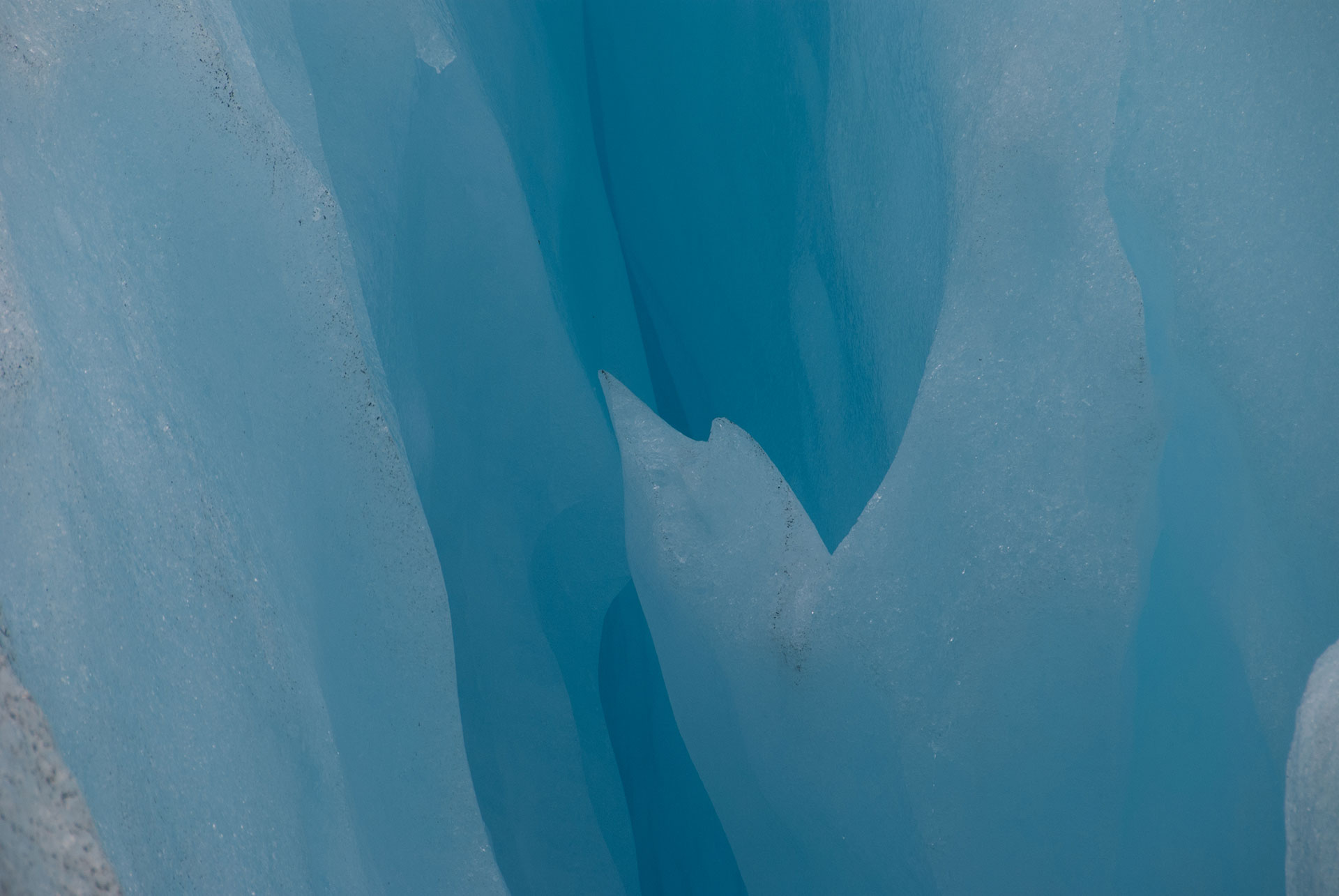 alt: 20070717-DSC_1142.jpg